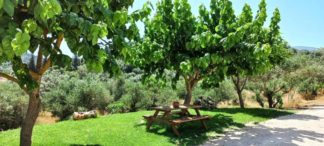 Lily Home_Lefkada ~ Private Country House Kondaraina Екстер'єр фото