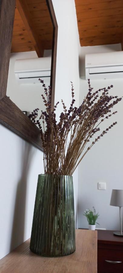 Lily Home_Lefkada ~ Private Country House Kondaraina Екстер'єр фото