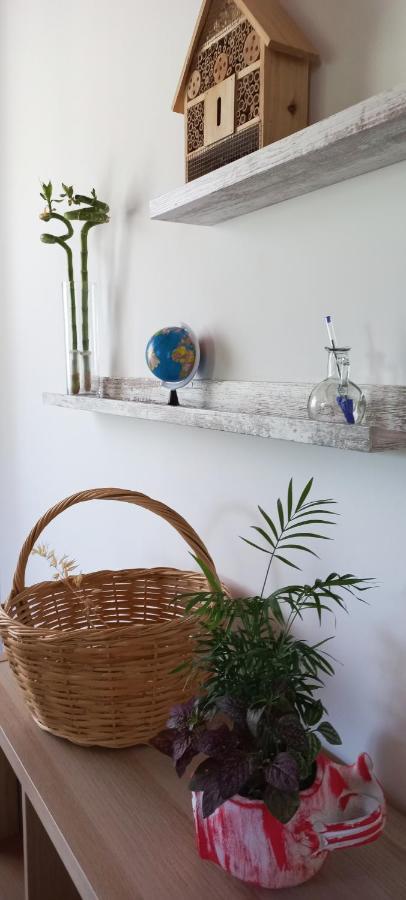 Lily Home_Lefkada ~ Private Country House Kondaraina Екстер'єр фото