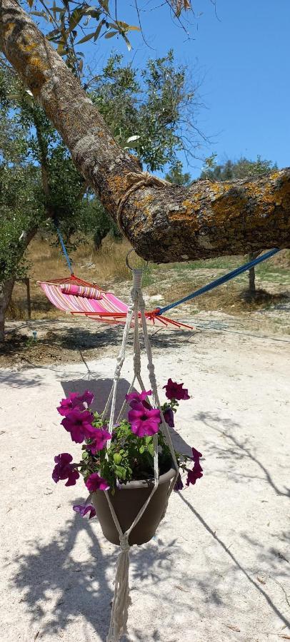 Lily Home_Lefkada ~ Private Country House Kondaraina Екстер'єр фото