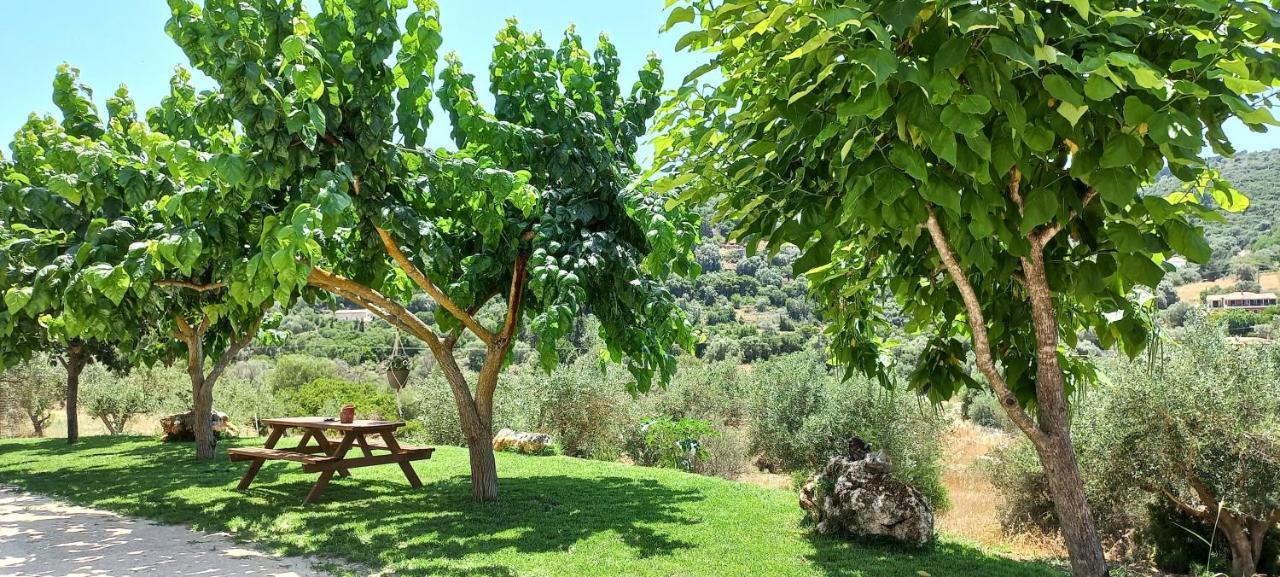 Lily Home_Lefkada ~ Private Country House Kondaraina Екстер'єр фото