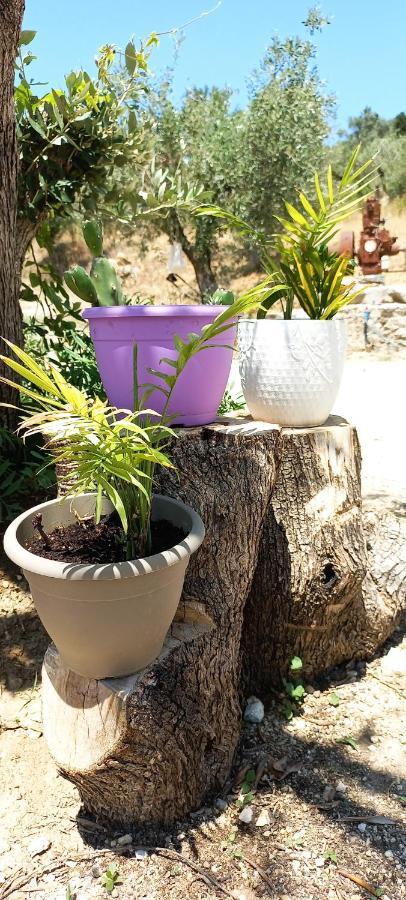 Lily Home_Lefkada ~ Private Country House Kondaraina Екстер'єр фото