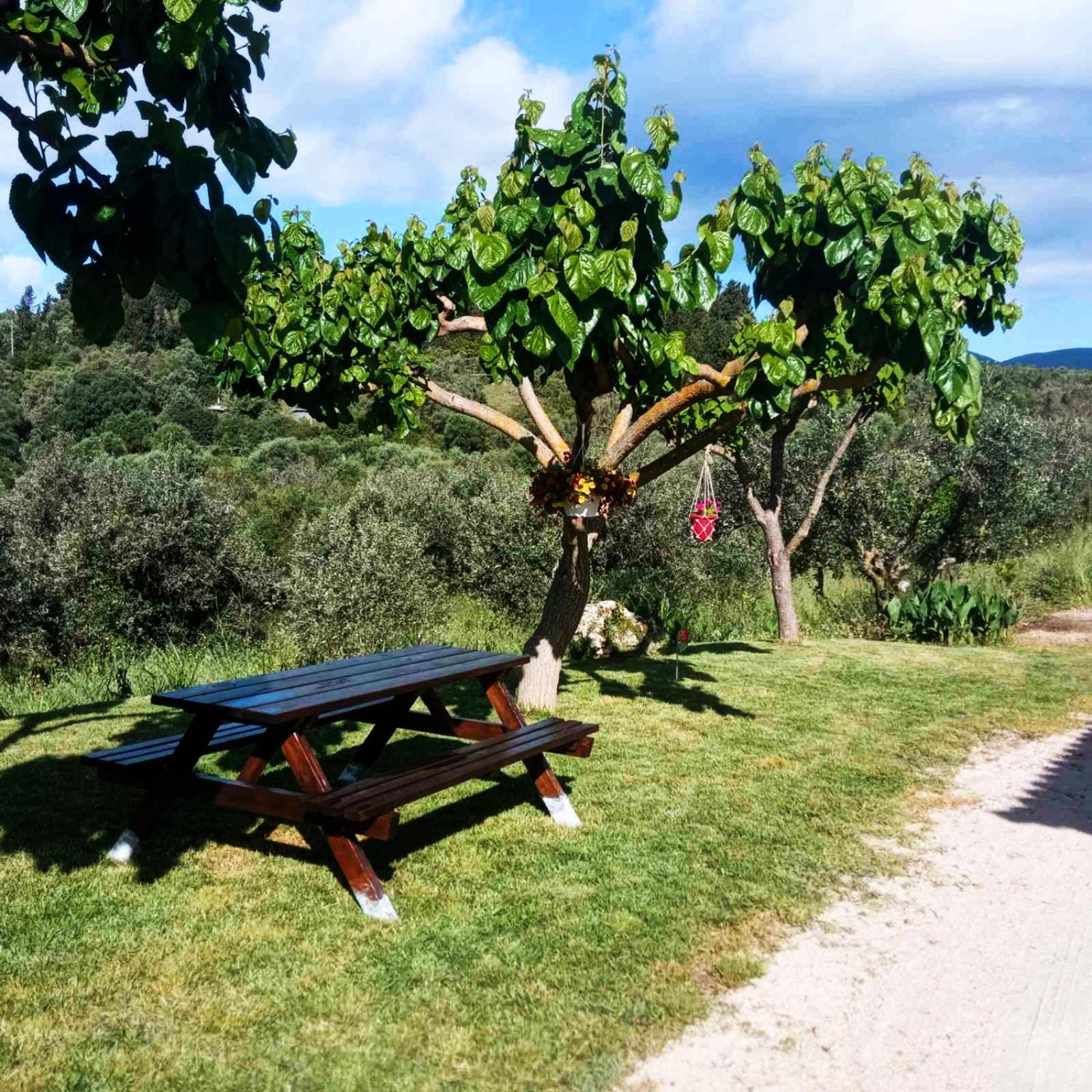 Lily Home_Lefkada ~ Private Country House Kondaraina Екстер'єр фото