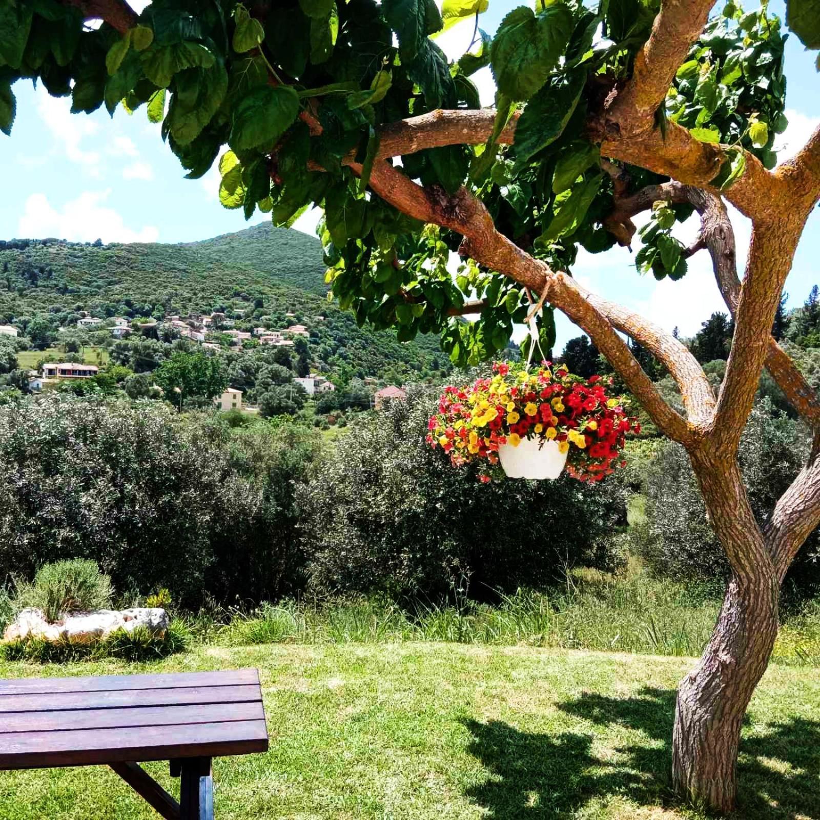 Lily Home_Lefkada ~ Private Country House Kondaraina Екстер'єр фото